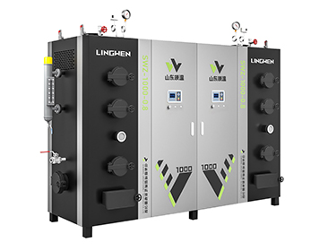 1000KG 生物質蒸汽發生器雙拼